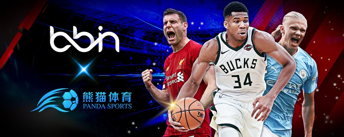 他们不仅各